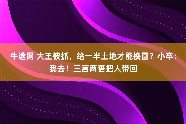 牛途网 大王被抓，给一半土地才能换回？小卒：我去！三言两语把人带回
