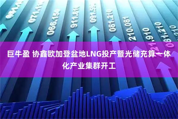 巨牛盈 协鑫欧加登盆地LNG投产暨光储充算一体化产业集群开工