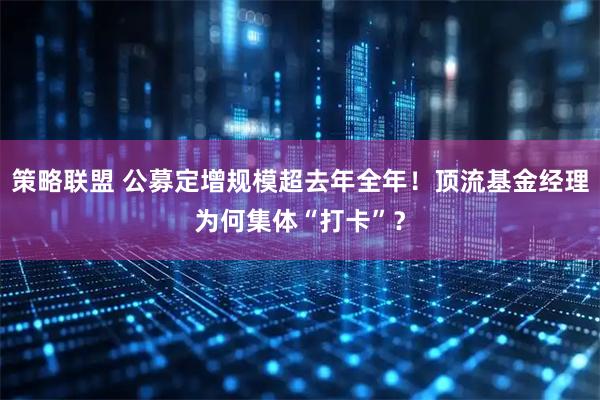 策略联盟 公募定增规模超去年全年！顶流基金经理为何集体“打卡”？