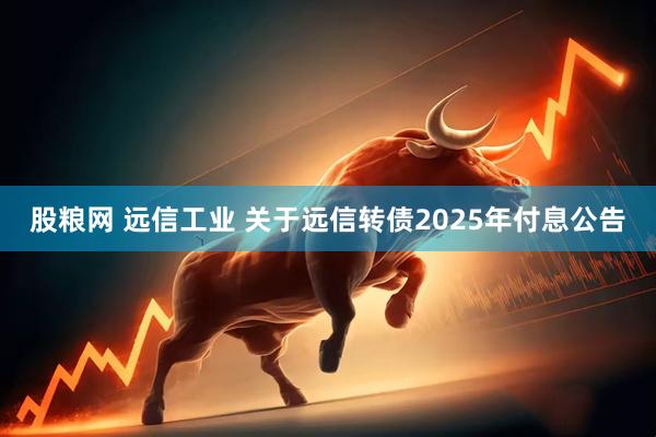 股粮网 远信工业 关于远信转债2025年付息公告