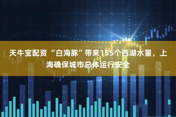 天牛宝配资 “白海豚”带来155个西湖水量，上海确保城市总体运行安全